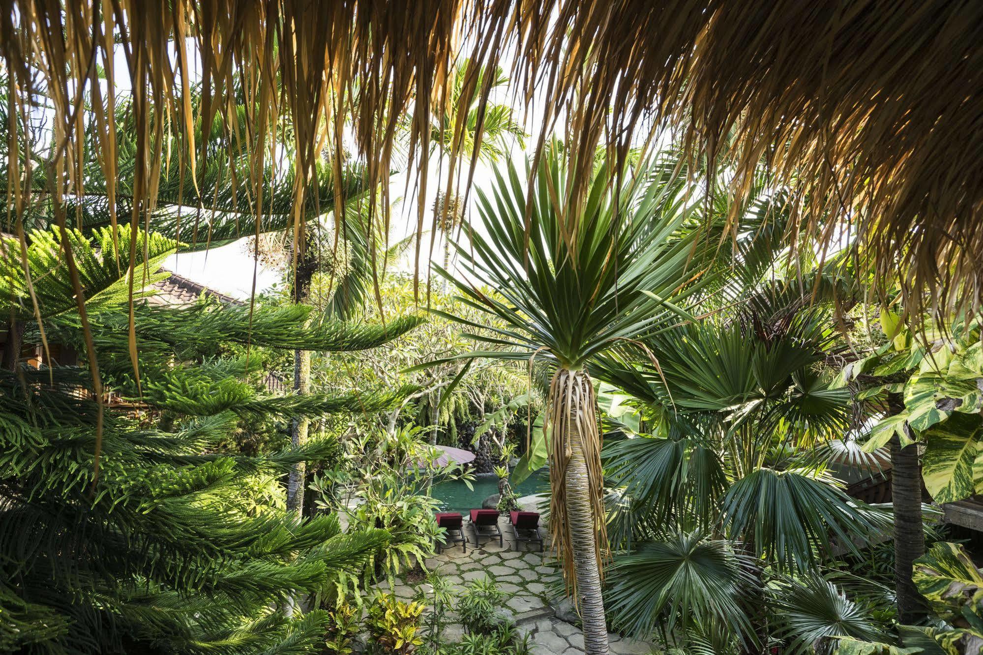 Adi Cottage Ubud Dış mekan fotoğraf